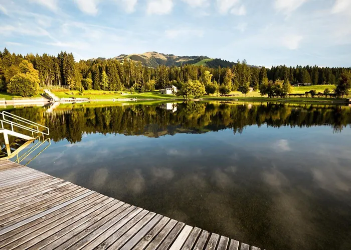 Kitzalps By Alpine Host Helpers